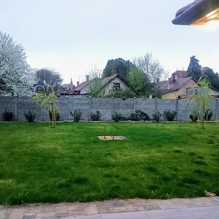 Pupi's Place *